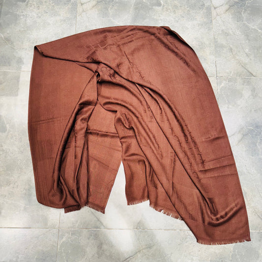 DIOR SCARF